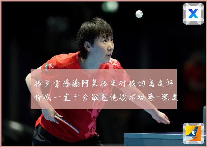 格罗索感谢阿莱格里对我的高度评价我一直十分敬重他战术观察-深度解析