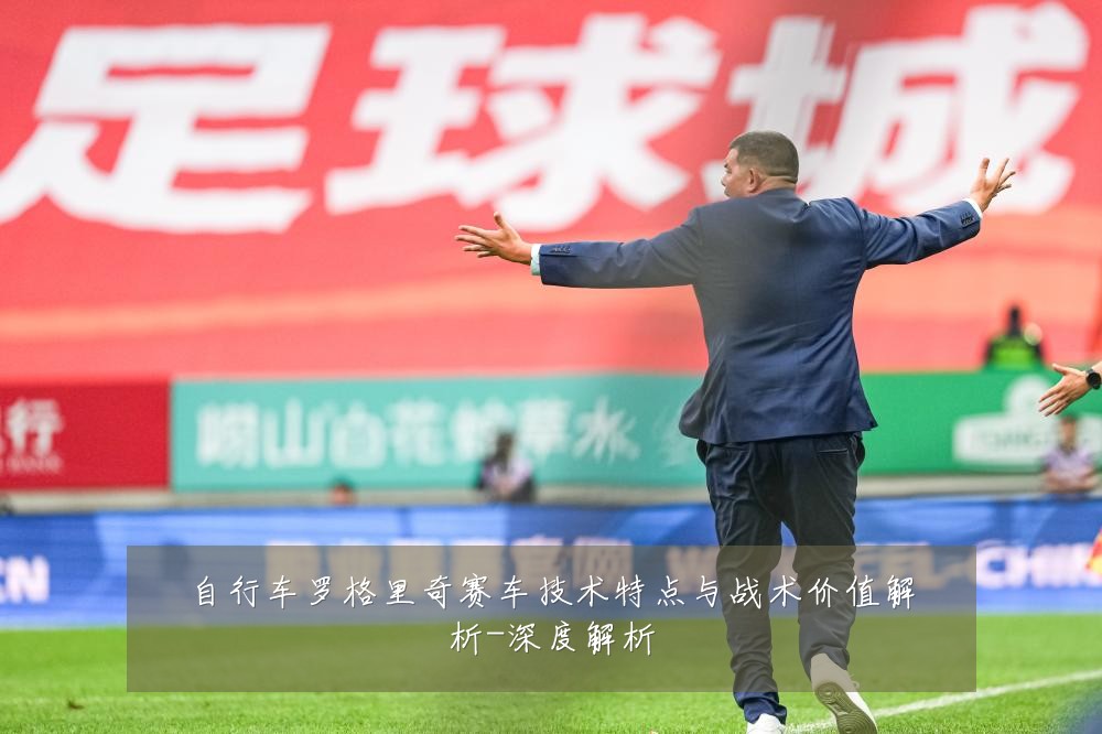 自行车罗格里奇赛车技术特点与战术价值解析-深度解析